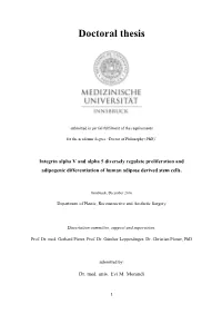 Doctoral Thesis