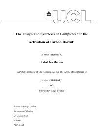 The Design and Synthesis of Complexes for the Activation of Carbon Dioxide