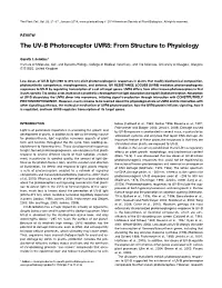 The UV-B Photoreceptor UVR8: from Structure to Physiology
