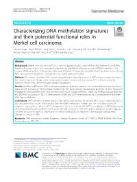 Characterizing DNA Methylation Signatures and Their Potential Functional Roles in Merkel Cell Carcinoma Hemant Gujar1, Arjun Mehta2, Hong-Tao Li1, Yvonne C