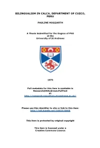Pauline Hoggarth Phd Thesis