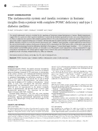 The Melanocortin System and Insulin Resistance in Humans: Insights from a Patient with Complete POMC Deficiency and Type 1 Diabe