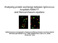 2011 Ignicoccus Grant Proposal