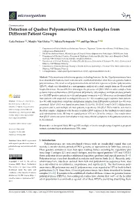 Detection of Quebec Polyomavirus DNA in Samples from Different Patient Groups