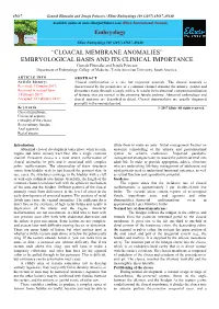 Elixir Journal