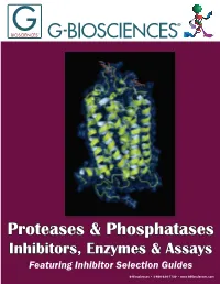Proteases & Phosphatases