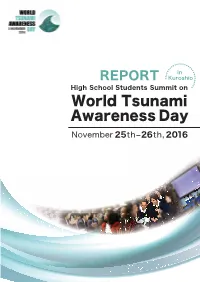 Summit Report (English).Pdf