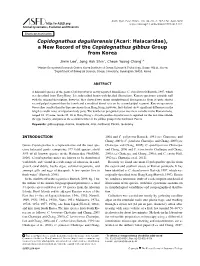 (Acari: Halacaridae), a New Record of the Copidognathus Gibbus Group from Korea