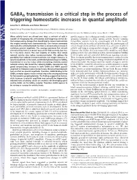 GABAA Transmission Is a Critical Step in the Process of Triggering Homeostatic Increases in Quantal Amplitude