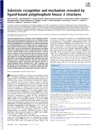 Substrate Recognition and Mechanism Revealed by Ligand-Bound Polyphosphate Kinase 2 Structures