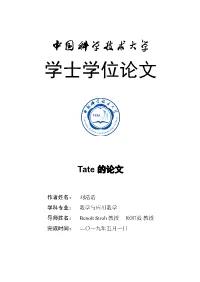 Tate's Thesis