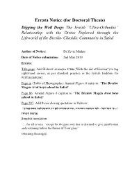 Digging the Well Deep (Zevic Mishor Doctoral Thesis)
