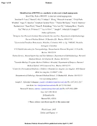 Role of RUNX1 in Aberrant Retinal Angiogenesis Jonathan D