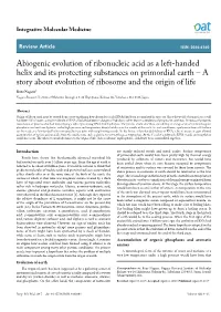 Abiogenic Evolution of Ribonucleic Acid As a Left