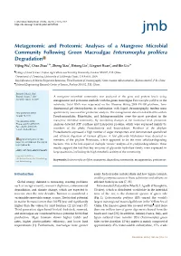 Metagenomic and Proteomic Analyses of a Mangrove Microbial