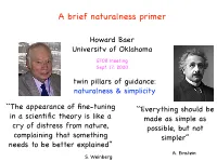A Brief Naturalness Primer
