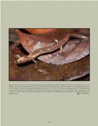 With the Discovery of a New Species of Oedipina from the Foothills Along