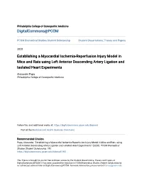 Establishing a Myocardial Ischemia-Reperfusion Injury Model in Mice and Rats Using Left Anterior Descending Artery Ligation and Isolated Heart Experiments