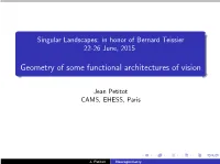 Geometry of Some Functional Architectures of Vision