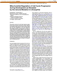 Mitochondrial Regulation of Cell Cycle Progression During Development As Revealed by the Tenured Mutation in Drosophila