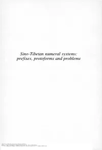 Sino-Tibetan Numeral Systems: Prefixes, Protoforms and Problems
