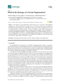 What Is the Entropy of a Social Organization?
