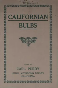Caufornlpi I BULBS I