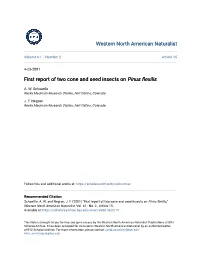 First Report of Two Cone and Seed Insects on Pinus Flexilis