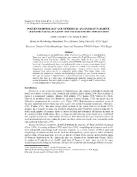 Pollen Morphology and Numerical Analysis of Tamarix L. (Tamaricaceae) in Egypt and Its Systematic Implication