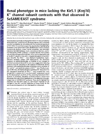 Renal Phenotype in Mice Lacking the Kir5.1 (Kcnj16) K Channel Subunit