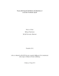 Factors Affecting the Distribution and Abundance of an Invasive Freshwater Mysid