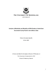 Analysis of Morbidity and Mortality of Wild Koalas in South-East Queensland Using Passive Surveillance Data