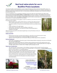Best Local Native Plants for Use in Bushfire Prone Locations
