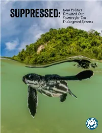 How Politics Drowned out Science for Ten Endangered Species This Report Is a Distress Signal States, and Others Have Resisted for At-Risk Plants and Animals