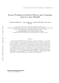 Several Problems in Particle Physics and Cosmology Solved in One SMASH