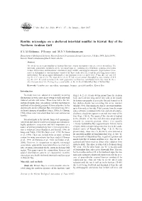Benthic Microalgae on a Sheltered Intertidal Mudflat in Kuwait Bay of the Northern Arabian Gulf