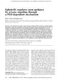 Ephrin-B1 Regulates Axon Guidance by Reverse Signaling Through a PDZ-Dependent Mechanism