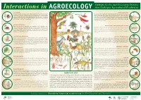 Interactions in Agroecology Virtuous Cycles and Ecosystem Services That