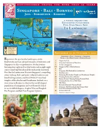 Singapore U Bali U Borneo Java U Borobudur U Komodo