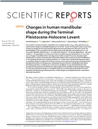 Changes in Human Mandibular Shape During the Terminal Pleistocene
