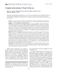 Complex Interactions of Tyrp1 in the Eye