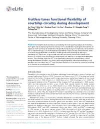 Fruitless Tunes Functional Flexibility of Courtship Circuitry During Development