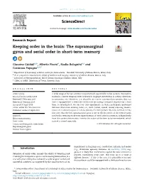 Keeping Order in the Brain: the Supramarginal Gyrus and Serial Order in Short-Term Memory