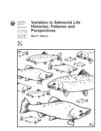 Variation in Salmonid Life Histories: Patterns and Perspectives