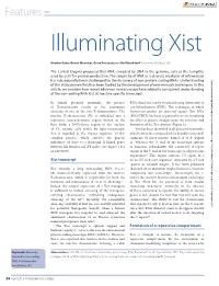 Features RNA Illuminating Xist
