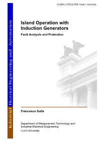 Island Operation with Induction Generators