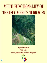Multi-Functionality of the Ifugao Rice Terraces