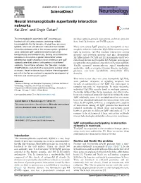 Neural Immunoglobulin Superfamily Interaction Networks