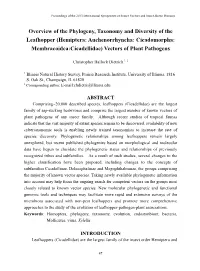 Overview of the Phylogeny, Taxonomy and Diversity of the Leafhopper (Hemiptera: Auchenorrhyncha: Cicadomorpha: Membracoidea:Cicadellidae) Vectors of Plant Pathogens