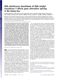 RNA Interference Knockdown of DNA Methyl- Transferase 3 Affects Gene Alternative Splicing in the Honey Bee
